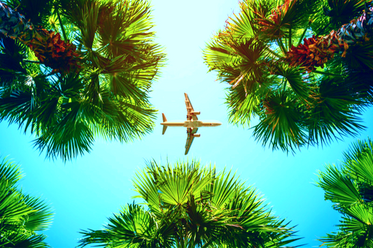 Does Flying Dehydrate You? Unraveling the Connection Between Air Travel and Hydration
