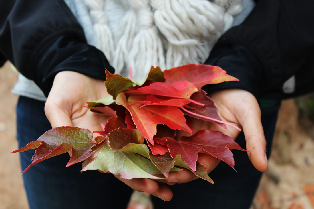 Hydration Strategies for a Busy Fall: How Electrolytes Can Boost Your Energy and Recovery