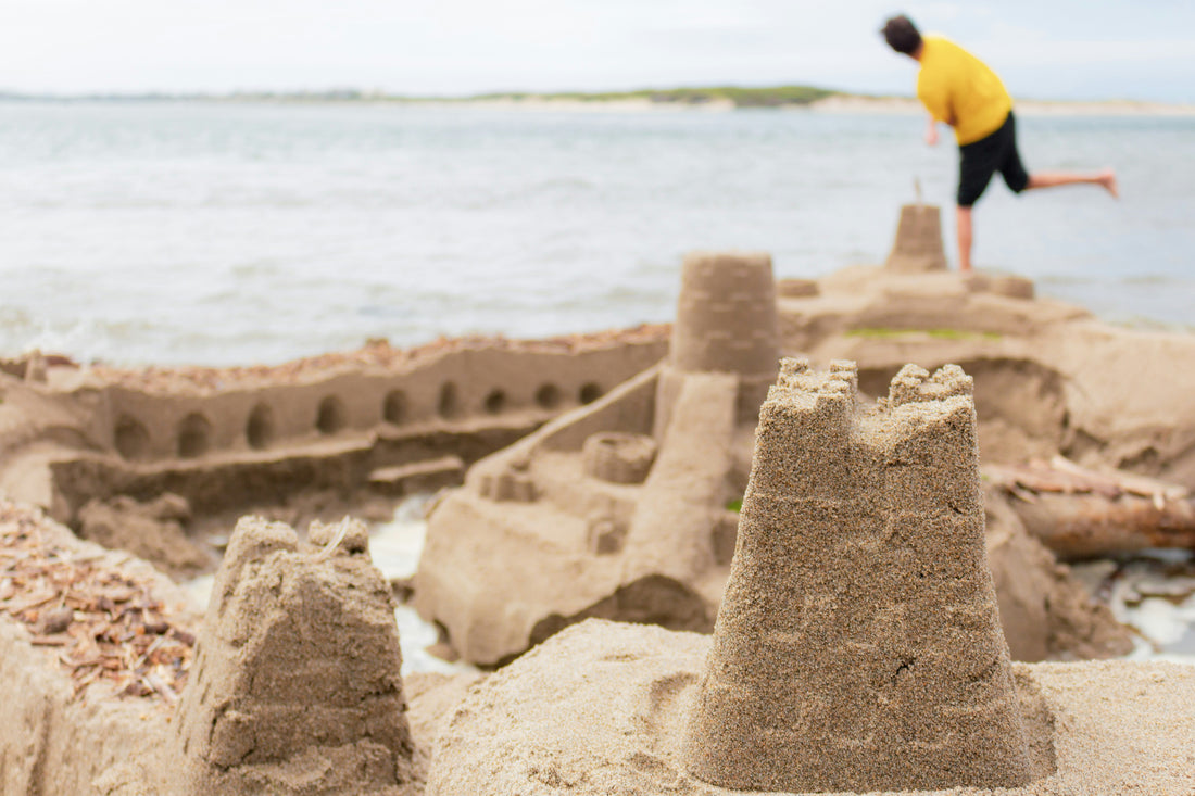 Building Sandcastles and Staying Cool with Key Nutrients