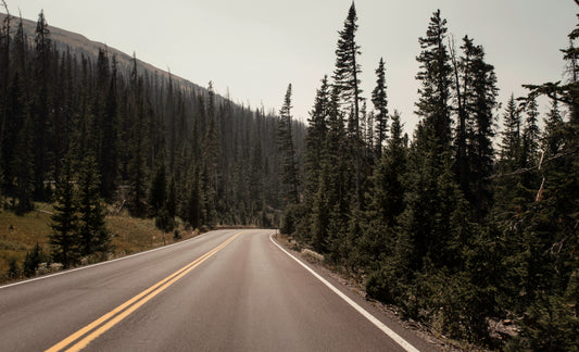 Road Trippin' and Sippin' with Key Nutrients