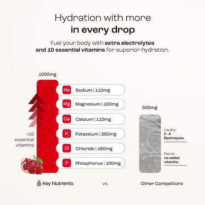 Electrolyte Recovery Plus Powder (Sugar-Free)