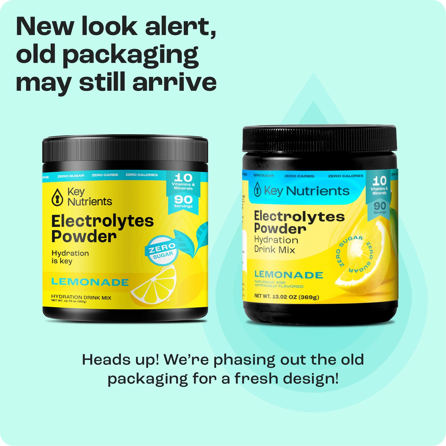 Electrolyte Recovery Plus Powder (Sugar-Free)