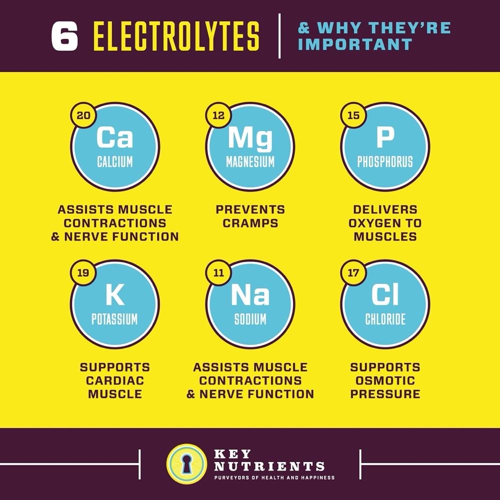 electrolyte content of Electrolyte Recovery Plus Powder