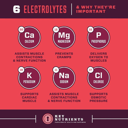 electrolyte contents of Electrolyte Recovery Plus Powder