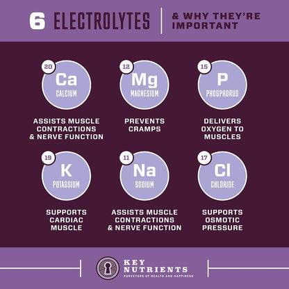 electrolyte content of Electrolyte Recovery Plus Powder