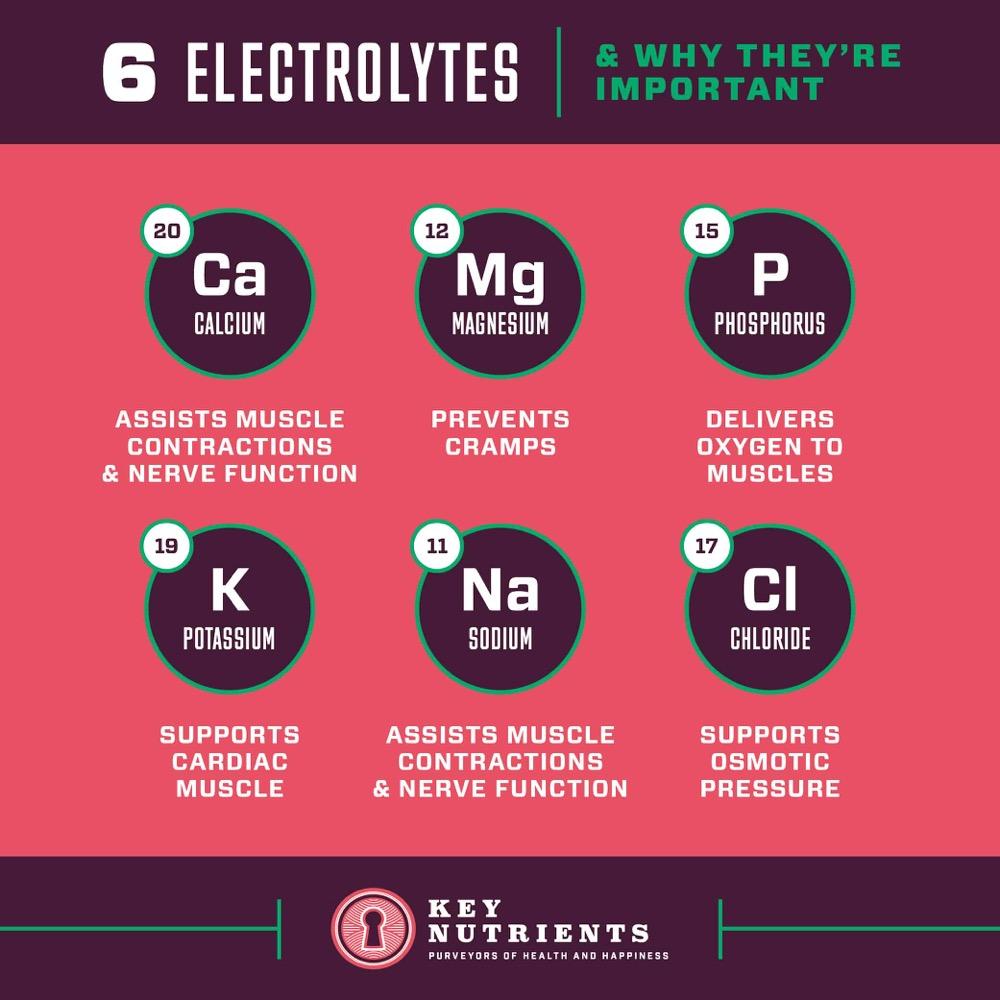 electrolyte content of Electrolyte Recovery Plus Powder