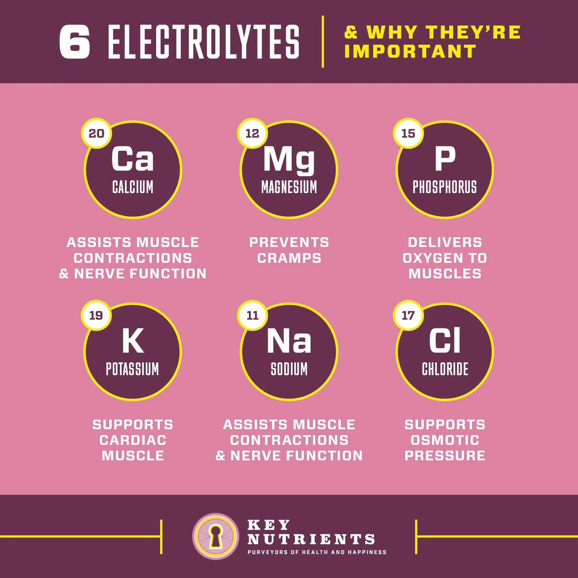 electrolyte content of Electrolyte Recovery Plus Powder