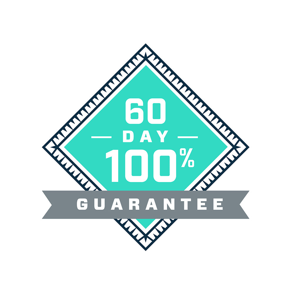 60 day guarantee icon