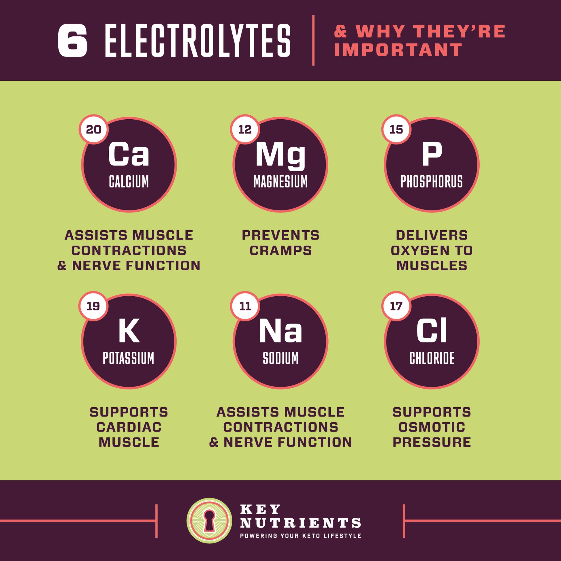 electrolyte content of Electrolyte Recovery Plus Powder